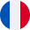 french-flag-icon